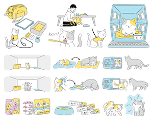 建築知識 2019年4月号「海外に学ぶ猫のための家づくり」