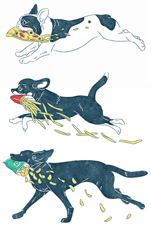 Dog and Food